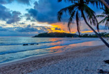 Best Beaches in Sri Lanka Related To Info You Need Know