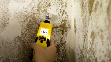 Prospective Home Buyers – The Importance Of San Francisco Mold Testing